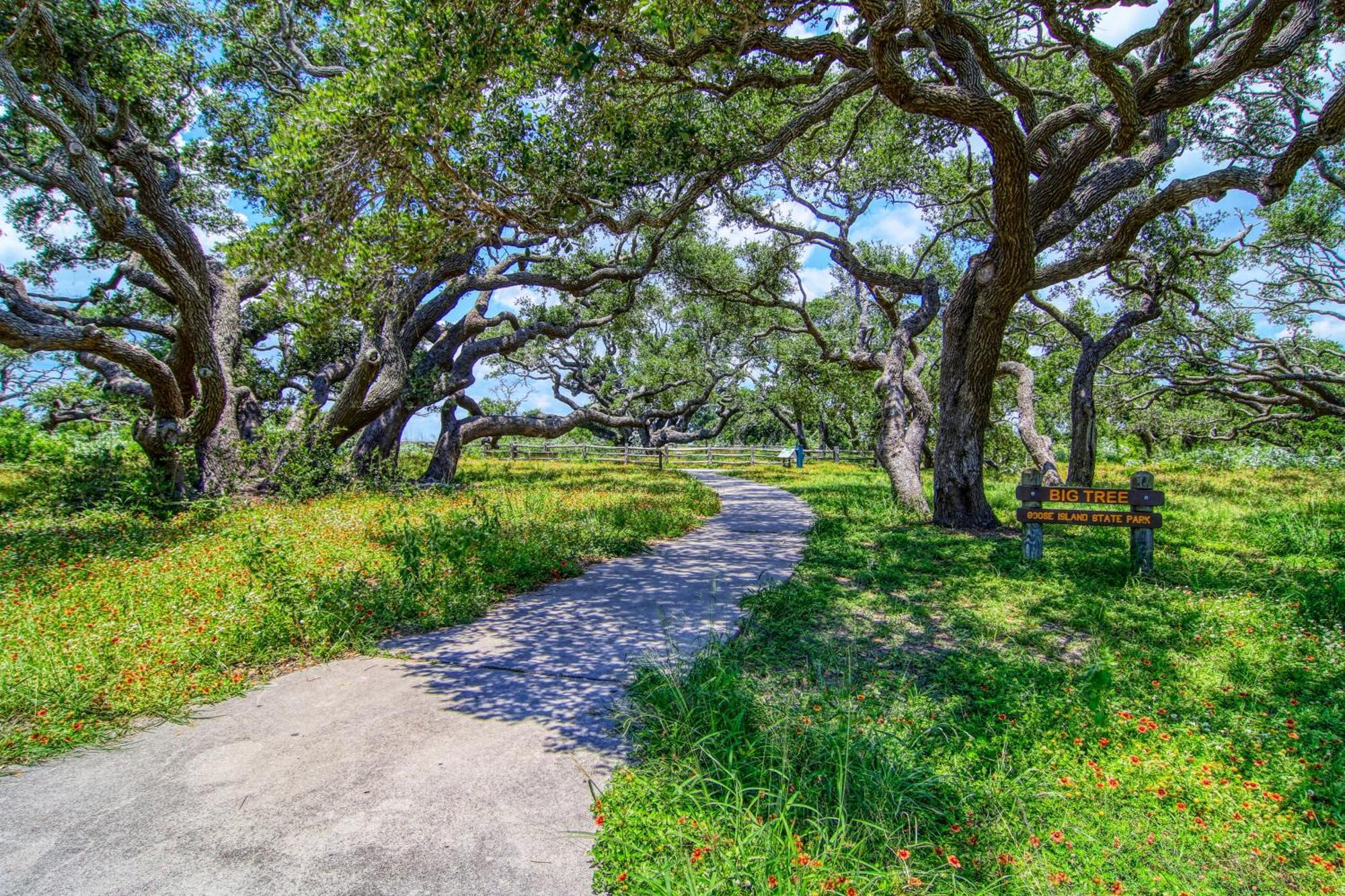 Myrtle Villa Rockport Kültér fotó